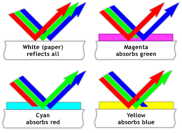 an illustration of how light is absorbed by different colored pigments