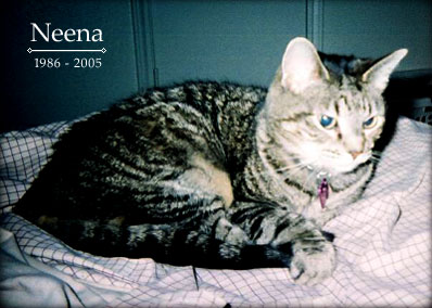 Neena, 1986 - 2005